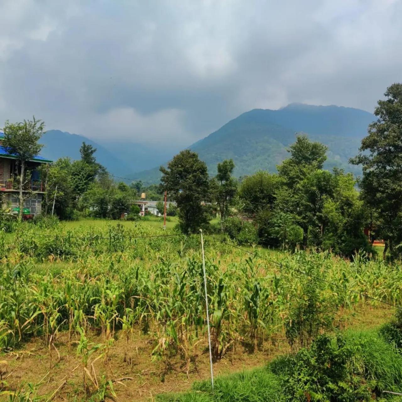 Aditya Homestay Bir-Billing Surrounded By Mountains Ngoại thất bức ảnh