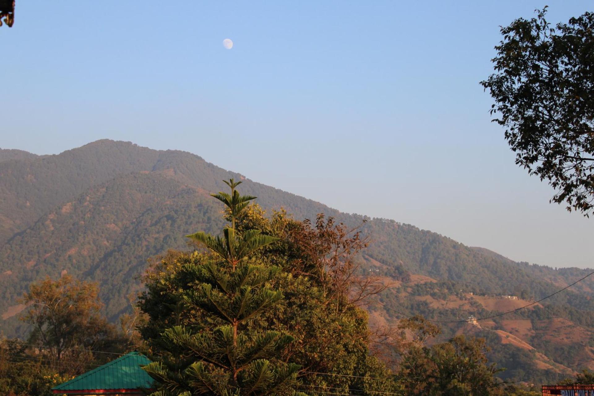 Aditya Homestay Bir-Billing Surrounded By Mountains Ngoại thất bức ảnh